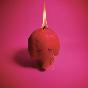 Pink Elephant cover